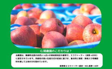 【 飯綱町産ブルーベリー使用 】 ジャム 信州産 ブルーベリージャム ( プレザーブスタイル ) 200g × 3個 関農園 沖縄県への配送不可 エコファーマー認定 ブルーベリー 長野県 飯綱町 [1248]