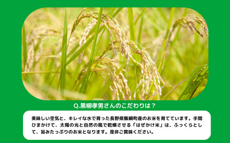 米 こしひかり 5kg × 6回 【 6カ月定期便 】 ( 令和8年産 ) 黒柳さんのお米 はぜかけ 沖縄県への配送不可 2026年11月上旬頃から順次発送予定 コシヒカリ 白米 精米 お米 信州 予約 農家直送 長野県 飯綱町 [0281]