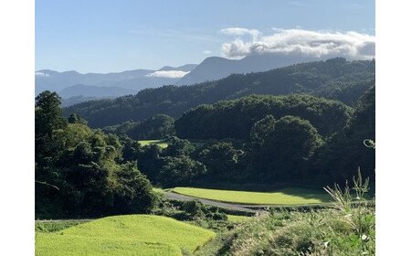 米 こしひかり 5kg × 6回 【 6か月 定期便 】( 令和7年産 ) ファームトヤ 沖縄県への配送不可 2025年10月上旬頃から順次発送予定 コシヒカリ 白米 精米 お米 信州 105000円 予約 農家直送 長野県 飯綱町 [1138]