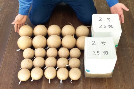 プライベート 花火 2号玉×50発&3号玉×15発&4号玉×10発 計75発【打上場所は宝達志水町内限定】