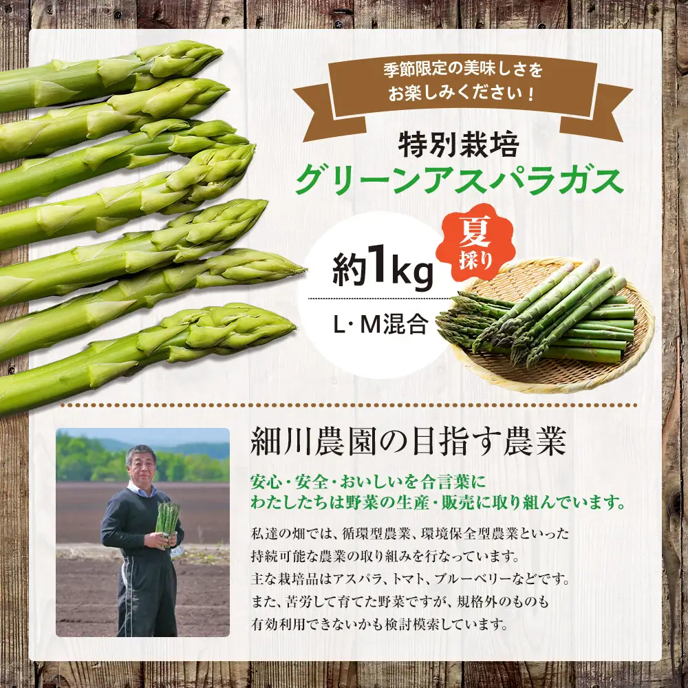 【R8年産】アスパラガス（夏採り）特別栽培 約1kg 細川農園 | グリーンアスパラ グリーンアスパラガス アスパラ 野菜 春野菜 朝採れ 新鮮 極太 サラダ 天ぷら 炒め物 旬 特産 産地直送 北海道 津別町 送料無料