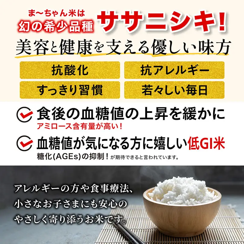 先行予約 ササニシキ 白米 9kg 令和8年 無農薬 新潟県産 ササニシキ
