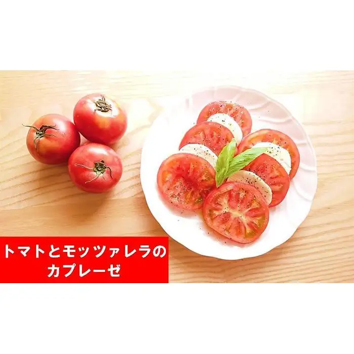 由布の恵み【新鮮 朝穫れ旬野菜！8種類以上！】おまかせお楽しみセット | 野菜