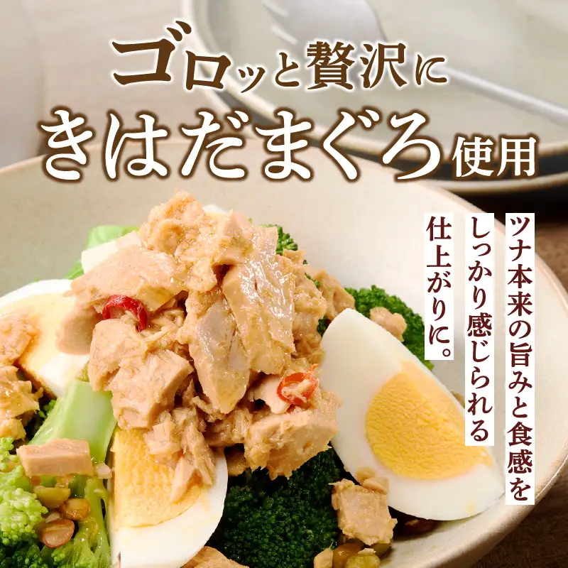 焼津 ガーリックツナ 佃煮（しっとり おかか） セット (a11-225)