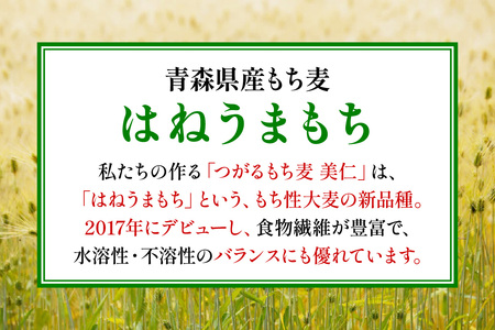 [青森県産もち麦] つがるもち麦 美仁 5kg [0336]