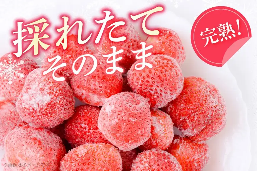 いちご 冷凍 完熟 あまおう 2kg いちご【2027年発送先行受付】