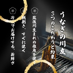 AK005_【冷蔵発送】朝開き国産うなぎ 当日発送２尾（1尾あたり約200～230ｇ） 味噌焼き 国産鰻 ウナギ 