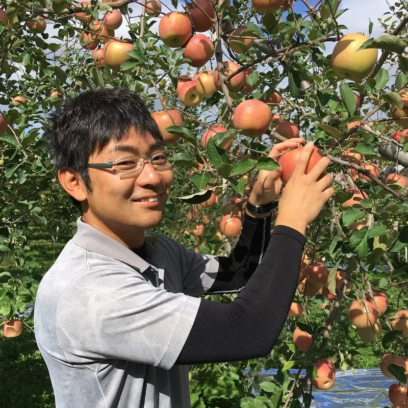 【2026年12月上旬発送】【贈答用】 りんご 5kg サンふじ 青森県産 りんご
