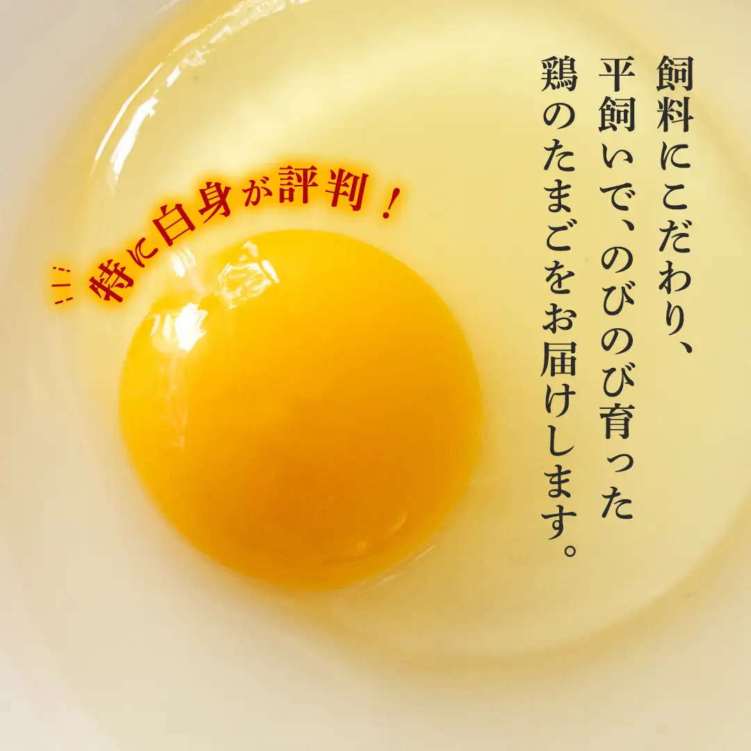 たまごかけご飯セット 卵 玉子 たまご 生卵 鶏卵 タマゴ しょうゆ 醤油 米 コシヒカリ 白米 精米 産地直送 平飼い お取り寄せ 詰め合わせ TKG 卵かけごはん 新生活 一人暮らし 桜川市産 茨城県産 [BT003sa]