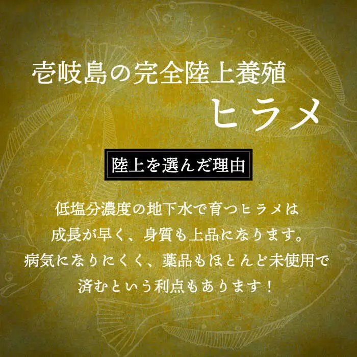 【全6回定期便】壱岐産 ヒラメフィレ 450gから500g [JDT037]