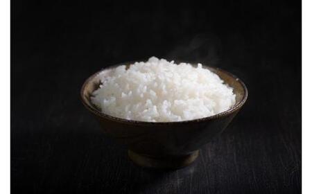 奥伊勢米 つぶら １０kg ／ 宮川TK 食味値75％以上 みえの安心食材 認定米 ブランド米 三重県 大台町