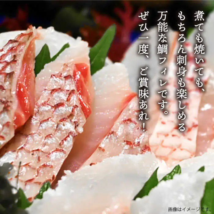 【全2回定期便】壱岐産 鯛 フィレ 800gから1.2kg [JDT068]