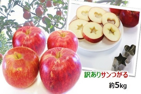 【9月発送】 訳あり りんご 5kg サンつがる 青森県産 りんご