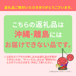さくらんぼ 600g 佐藤錦 L～2Lサイズ サクランボ