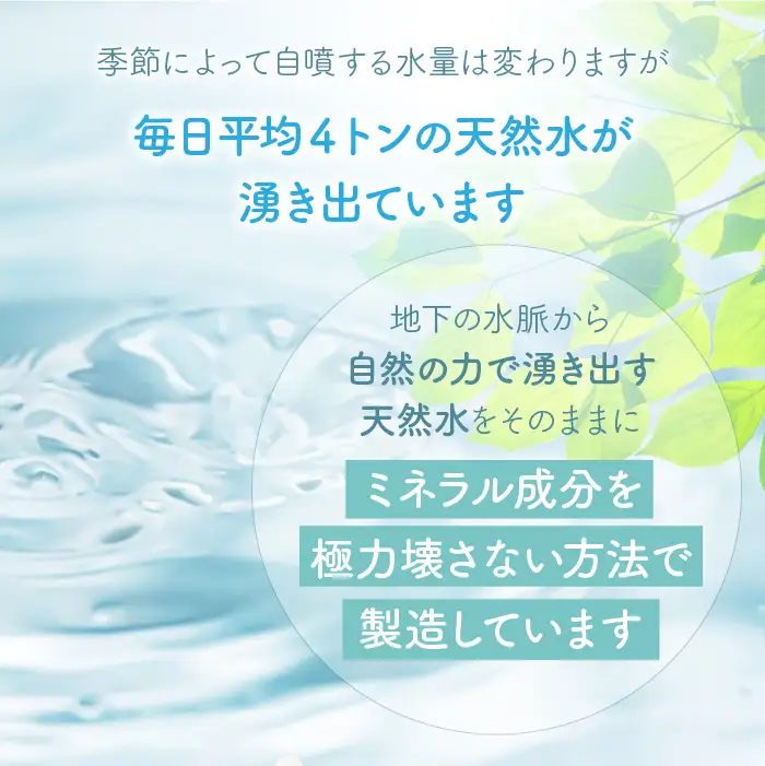 【山梨　道志村の天然水】doshiwater (2L×6袋×2箱)　初回のみ専用ウォーターケース付 DSF002