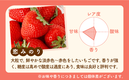 【先行予約 2027年1月～発送】食べ比べ！恋みのり＆さがほのか 各220g  いちご