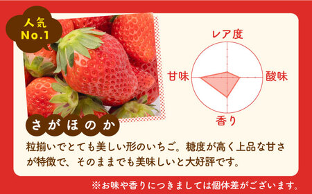 【先行予約 2027年1月以降発送】【4回定期便】食べ比べ！恋みのり＆さがほのか 定期便 / いちご [IBH008]