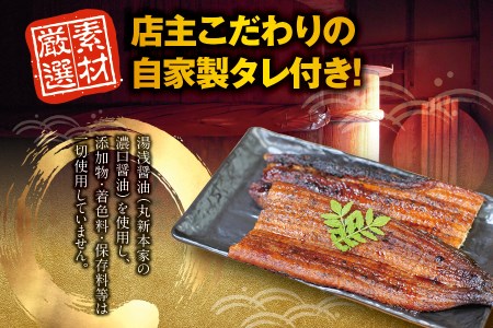 国産うなぎ 紀州備長炭で焼き上げたうなぎ約150g×2尾セット うなぎ ウナギ 鰻 蒲焼き 国産 養殖【fki300】