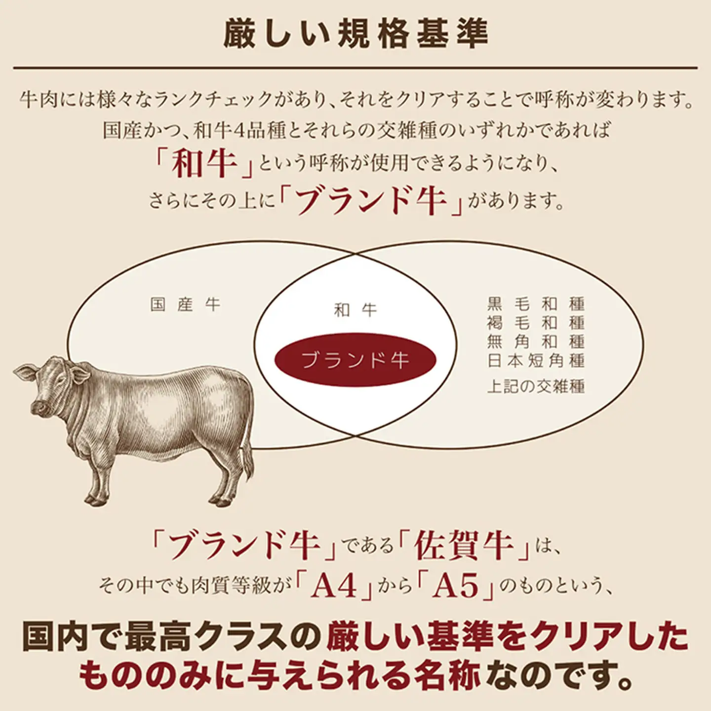 【定期便6回】佐賀牛 ガッツリ ステーキ 1ポンド（約454g）偶数月配送 | ももステーキ モモ 牛肉 _r-6