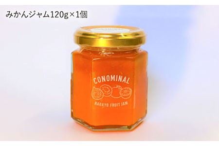 ※数量限定※【季節の果実をぎゅっと】長与町産 ジャム3種（ びわ みかん いちじく） 各120g＜アグリューム＞ [EAI005]  瓶 セット ジャム じゃむ 季節