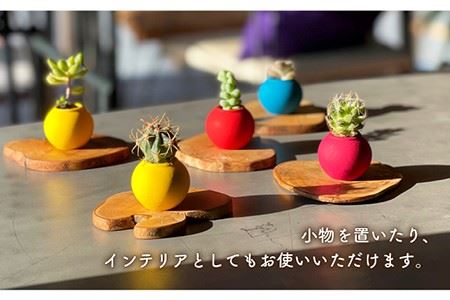 オリーブウッドの コースター 5枚組み 長与町/アグリューム [EAI043]  オリーブ おしゃれ 木製 かわいい コースター
