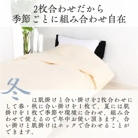 【洗える羽毛布団】羽毛本掛け布団シングル 2枚合わせ洗濯可国産 抗菌防臭防ダニ ネイビー【1310543】