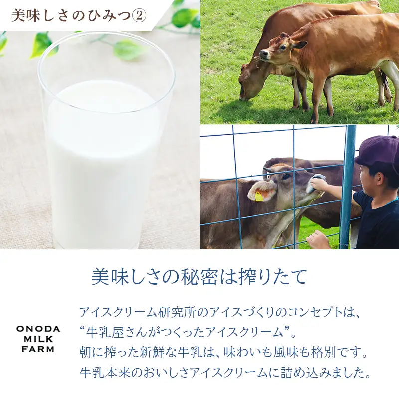 宮崎県グルメコンテスト2連覇『搾りたての生乳から作るカップアイス』詰め合わせセット(12個) 高原アイスクリーム研究所 TF0300-P00023