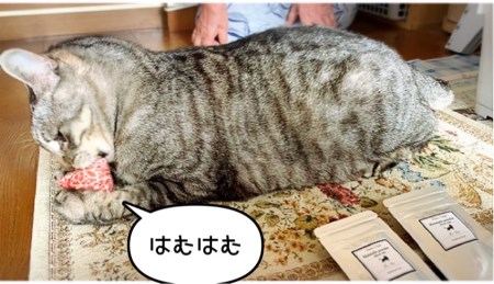 FB103_猫用☆天然100％無添加・ 無農薬またたびパウダー＆蹴りぐるみ1個