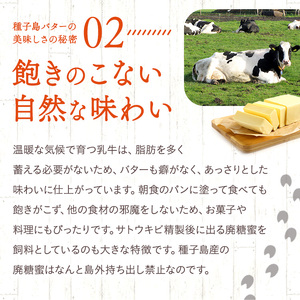 種子島 バター 200g ×6箱　NFN248 【350pt】 