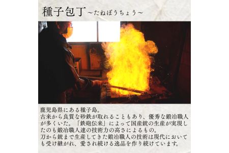 種子島 伝統工芸 種子 包丁 片刃刺身 21cm 樫柄　NFN424【2550pt】