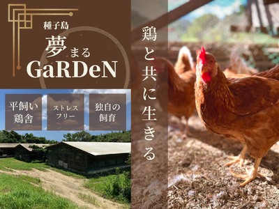 種子島 平飼い 産み立て たまご 夢まるガーデン 鶏卵 ×120個　NFN370【1000pt】