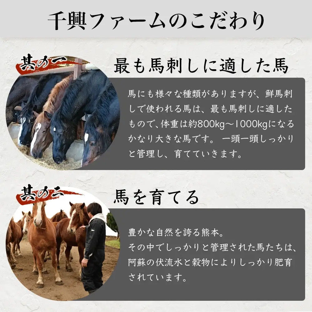 馬スジのカレー 10食 セット 合計2.1kg 【カレー レトルト レトルトカレー 馬すじ 馬スジ 馬 すじ スジ 時短 人気 熊本県 多良木町】 031-0423