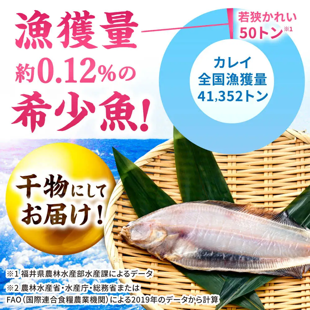 国産 若狭かれいの一夜干し 600g ヤナギムシカレイ [D-007006] [BFAE023] 【配送不可地域：北海道・沖縄・離島】 