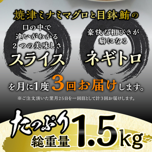 海からの贈り物 焼津天然まぐろ三昧(3回お届け)定期便 (a30-232)