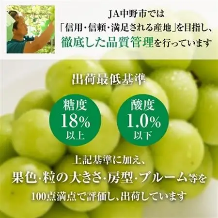 【2026年発送】シャインマスカット2房1kg以上　JA中野市から直送【配送不可地域：離島】【1272457】