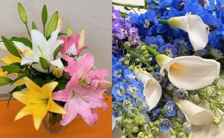 【北海道・沖縄県・離島配送不可】高森高校生徒考案 阿蘇・高森からお届け 新鮮な花束【4回定期便】
