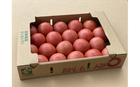 食べて実感 濃い味かしもトマト約4kg 東美濃農業協同組合【期間限定　選果場直送！】 F4N-1961