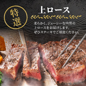 佐賀牛特選上ロースステーキ 600g ／ ステーキ【C006】