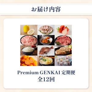 【12回定期便】～Premium GENKAI～定期便 ／ フルーツ 佐賀牛 米 バラエティ【Z001】