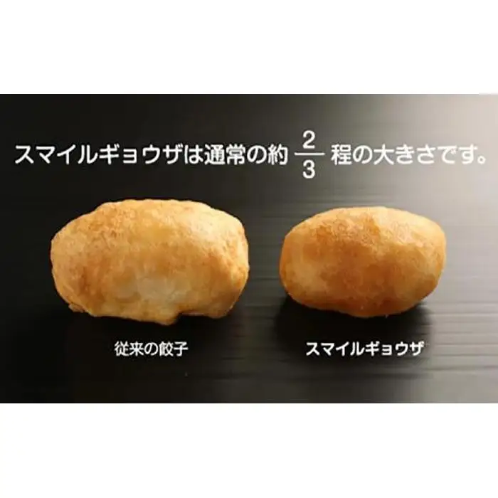 カリットギョウザ まるごとセット３種（48ケ）餃子 水餃子 スマイル餃子