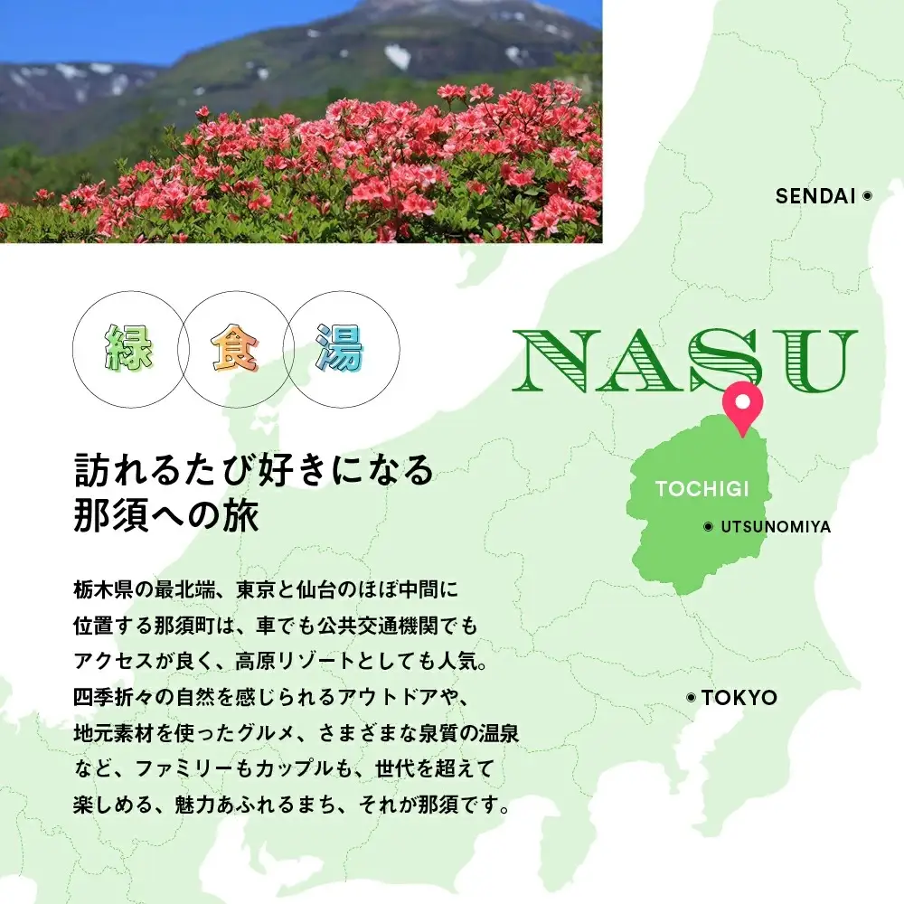 栃木県那須町で使える 共通宿泊利用券 30,000円分（3,000円×10枚）〔G-16〕｜宿泊 旅行 チケット 宿泊券 温泉 露天風呂 旅行券 ホテル 観光 国内旅行 那須 栃木県 那須町