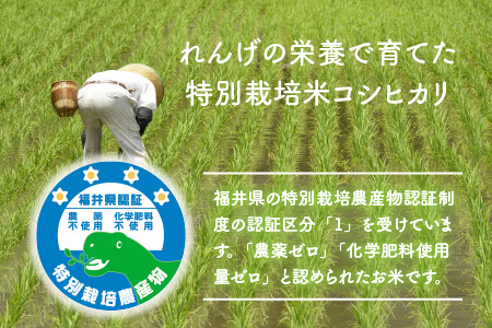 農薬不使用・化学肥料不使用 永平寺町産 れんげ米 20kg（5kg×4袋）[E-002011]
