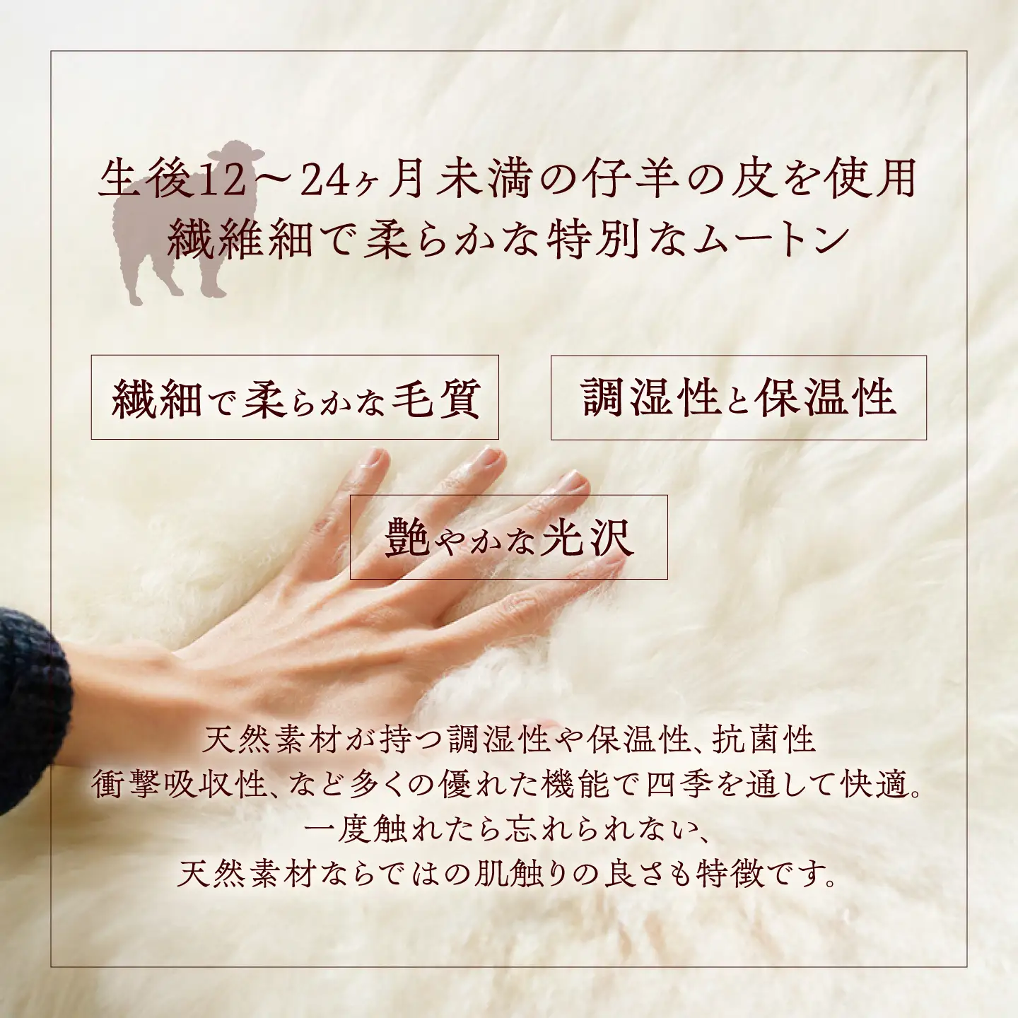 希少 仔羊 ムートン 約90?100cm《足寄町》【石田めん羊牧場】 ラグ マット [BEAD003]
