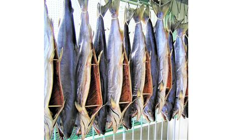 熟成 新巻 鮭姿戻し 1尾(約2.2～2.4kg)