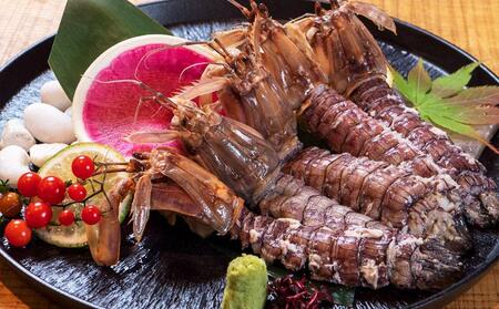 小樽産 漁師直送 浜茹で シャコ (冷凍) オス・メス 各500g 計1kg(各8匹～) 【2026年12月下旬発送予定】
