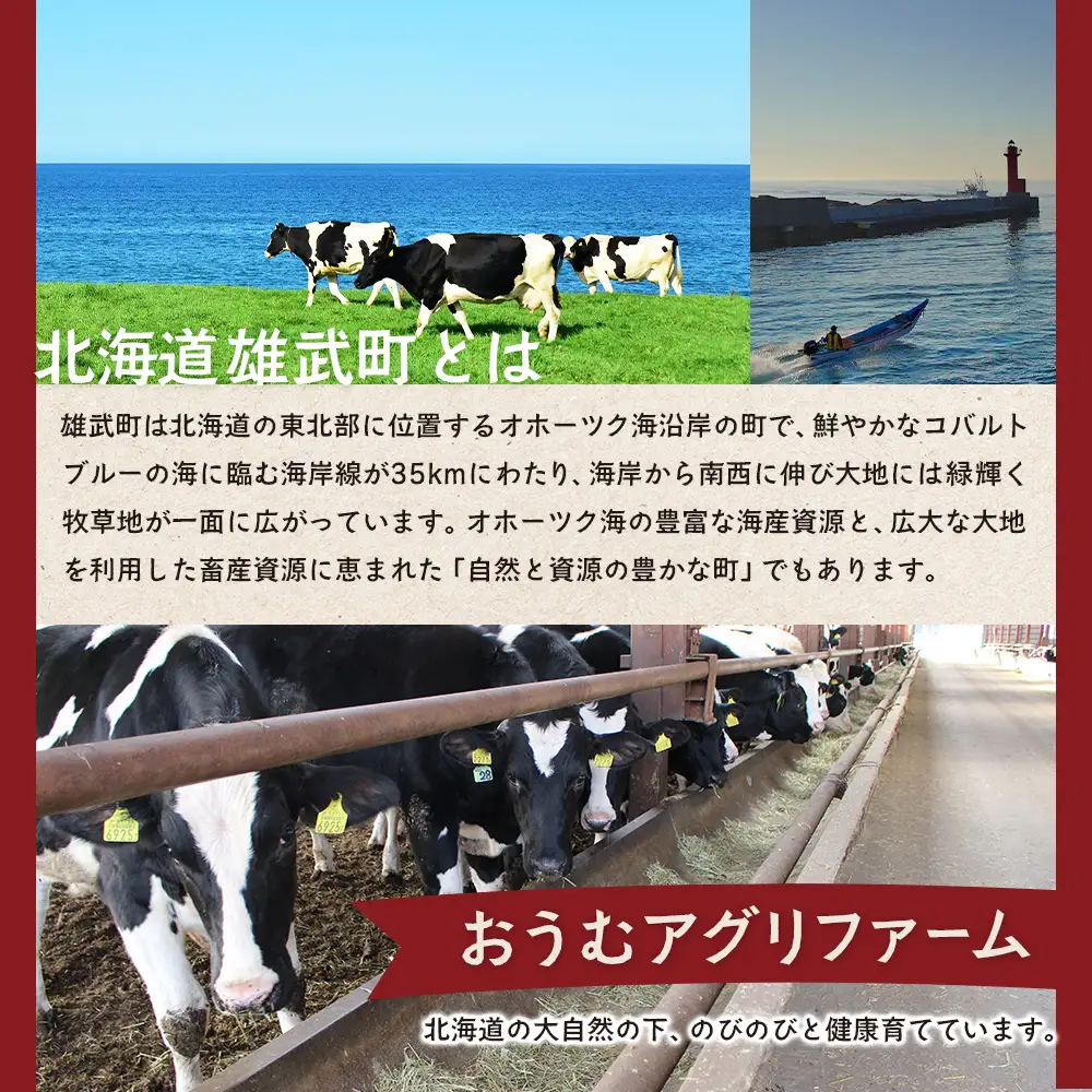 雄武産牛肉セット(冷凍)牛ロースステーキ200g×5【0911901】