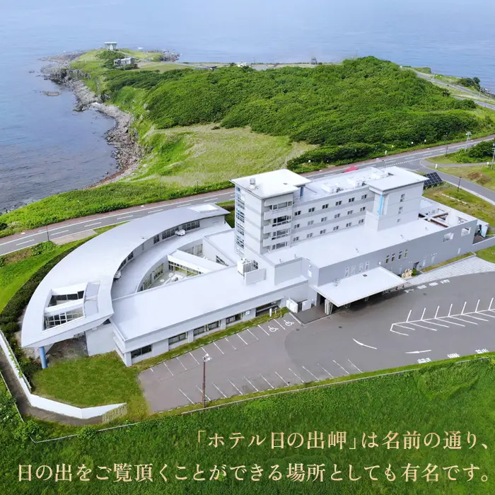 北海道雄武町ホテル日の出岬宿泊券（1名様）【0610502】