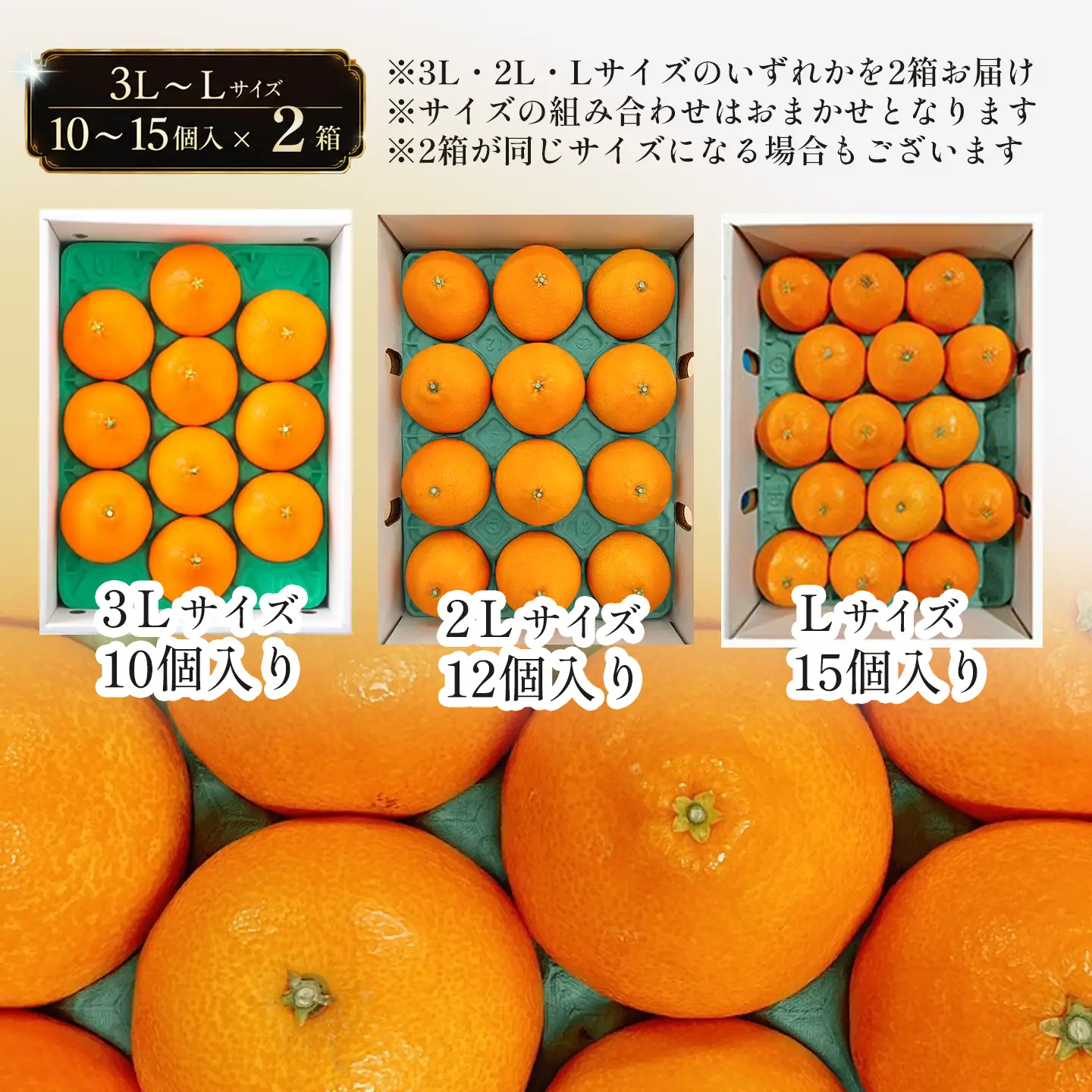 紅まどんな 食べ比べ２箱セット（10～15個入×2）｜愛媛 まどんな