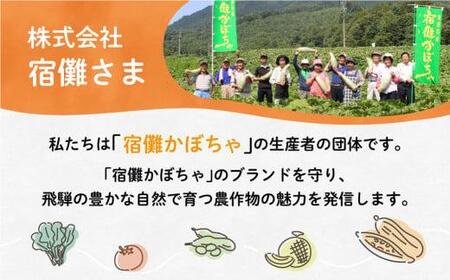 【8月頃～順次お届け】一級品 飛騨 トマト 4kg 箱入り | 大玉トマト 宿儺さま KA008