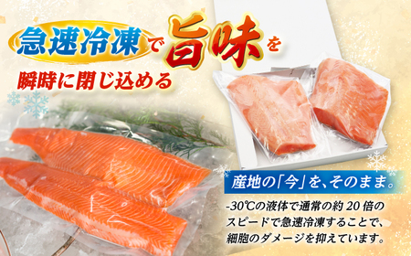 国産 ふくいサーモン 200g × 4パック 合計800g 刺身 サケ 鮭 [BFAA075] 【配送不可地域：北海道・沖縄・離島】 